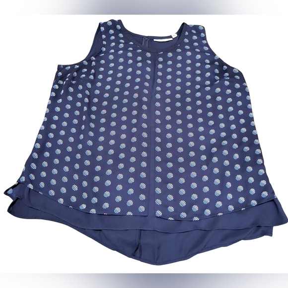 Sejour Chiffon Sleeveless Blouse - Picture 2 of 9